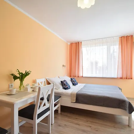 게스트하우스 U Macieja 드지비르지노